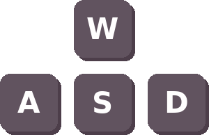 WASD keys